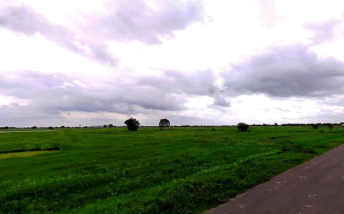 Piproli, Rajasthan, India