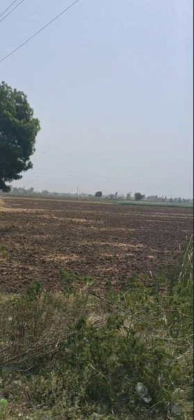 Moradabad, Uttar Pradesh, India