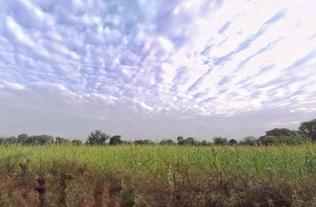 Ranoli, Rajasthan 332403, India