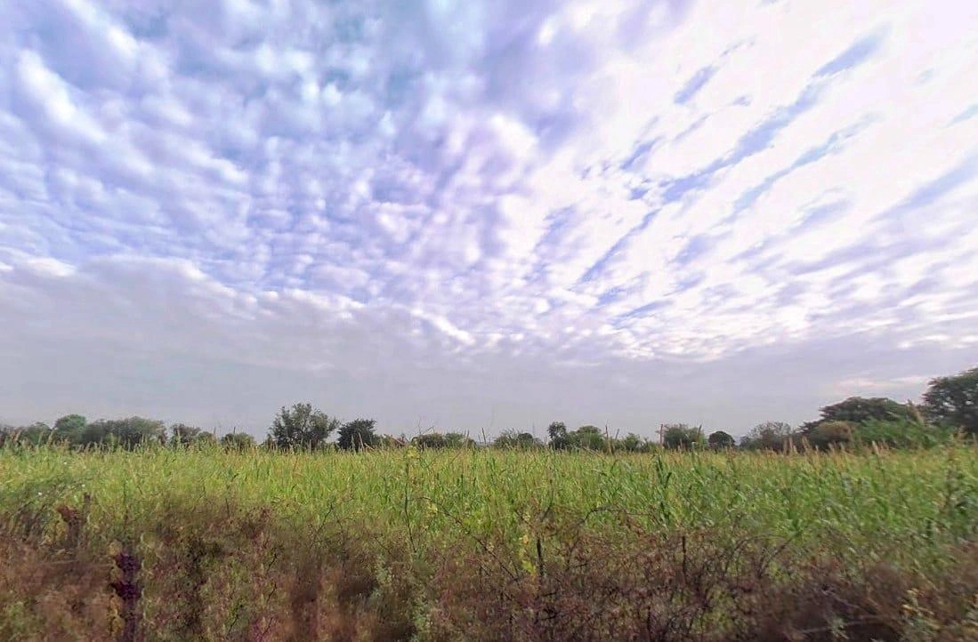 Ranoli, Rajasthan 332403, India