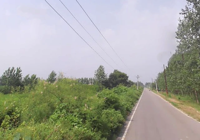 Alampur, Uttar Pradesh 247121, India