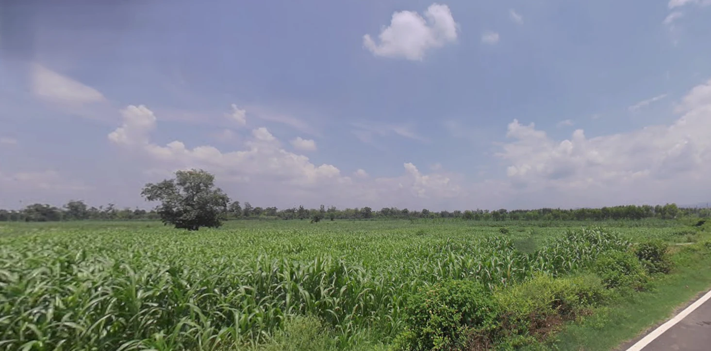 Chhutmalpur, Uttar Pradesh 247662, India