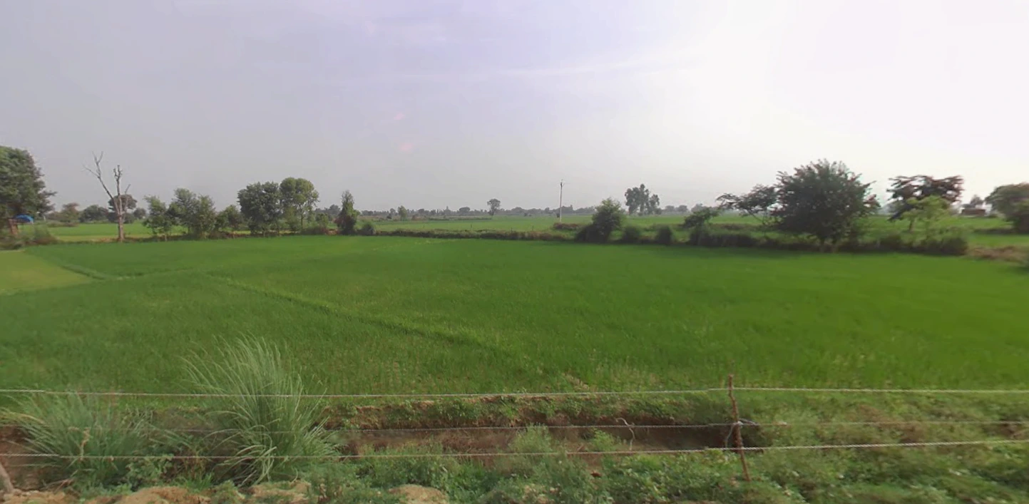 Suar, Uttar Pradesh 244924, India