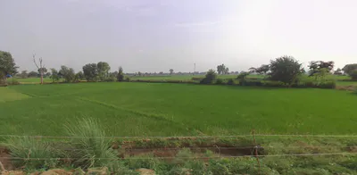 Suar, Uttar Pradesh 244924, India preview 3