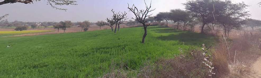 Khachariawas, Rajasthan 332710, India