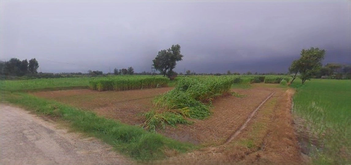 NH 44, Sector 7, Karnal, Haryana, India