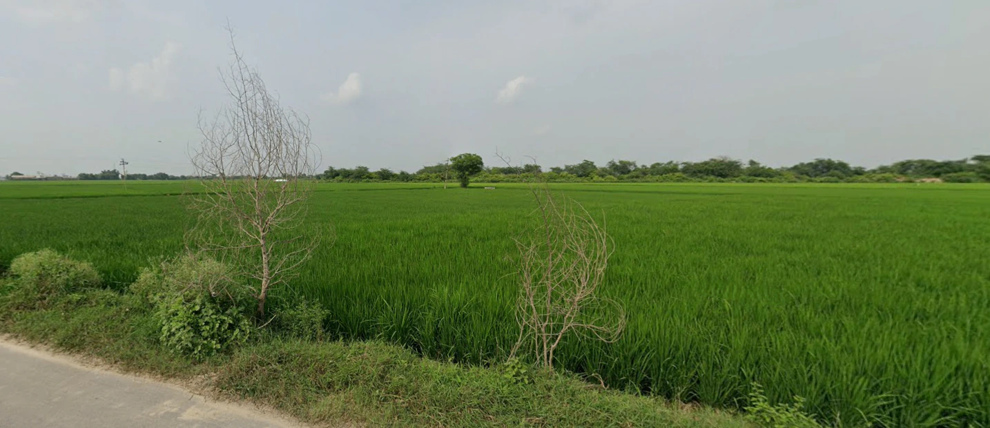 Tarapur, Punjab, India
