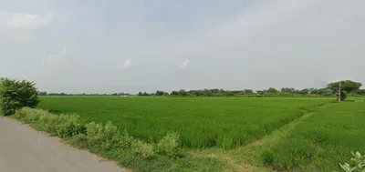 Nurpur Bedi, Punjab 140117, India preview 3