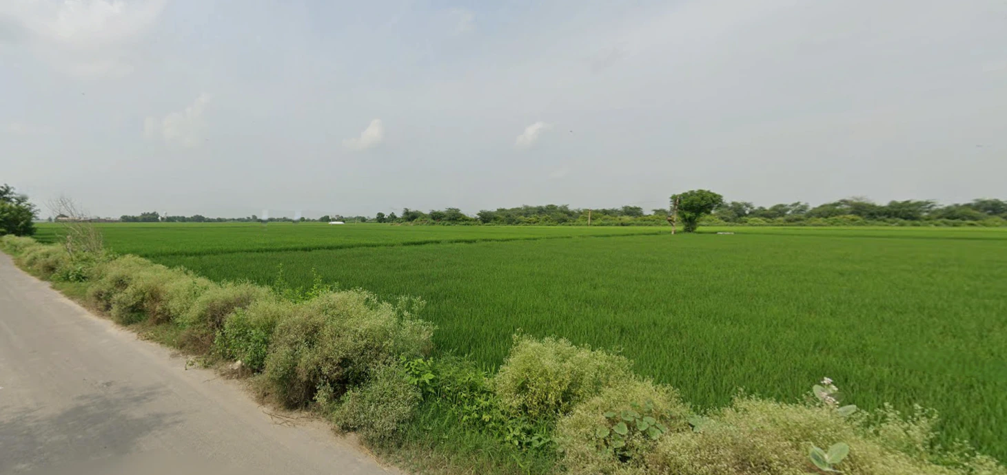 Dhaul, Punjab 144521, India