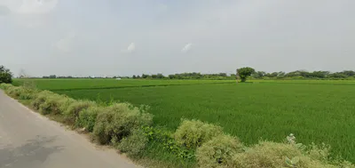 Dhaul, Punjab 144521, India preview 3