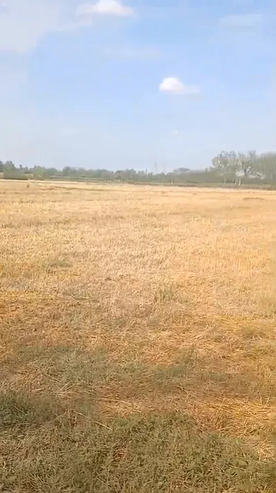 PJJJ+P37, Jaipur, Jagannathpura, Rajasthan 302029, India preview 2
