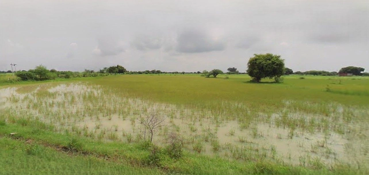 Rampur Maniharan, Uttar Pradesh 247451, India