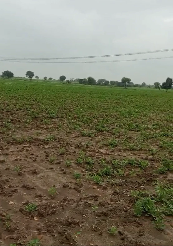 W3WP+H6V, Agar Malwa, Susner, Madhya Pradesh 465447, India