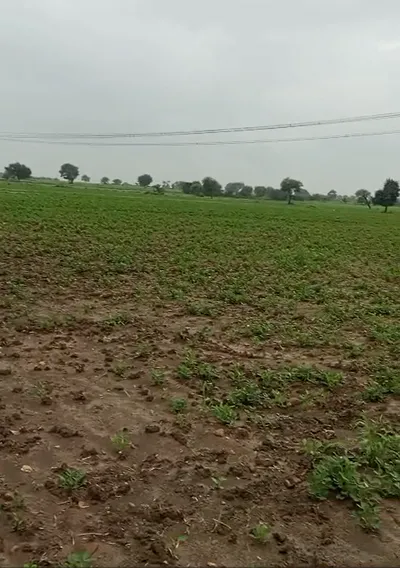 W3WP+H6V, Agar Malwa, Susner, Madhya Pradesh 465447, India preview 2