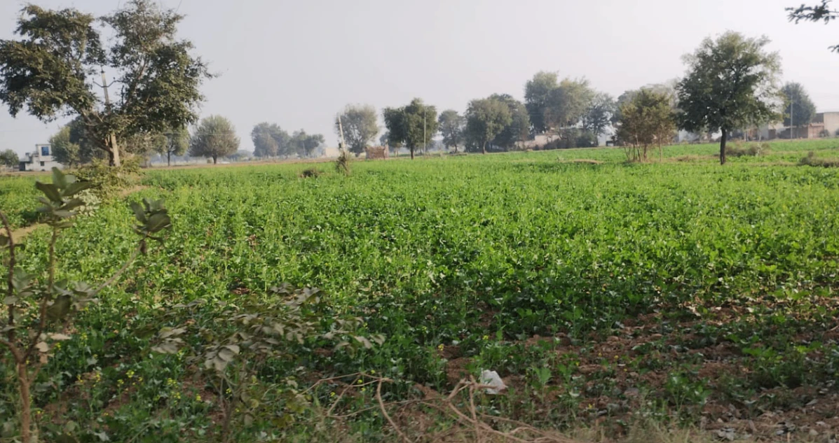 VGR9+4GH, Rupnagar, Punjab 140108, India