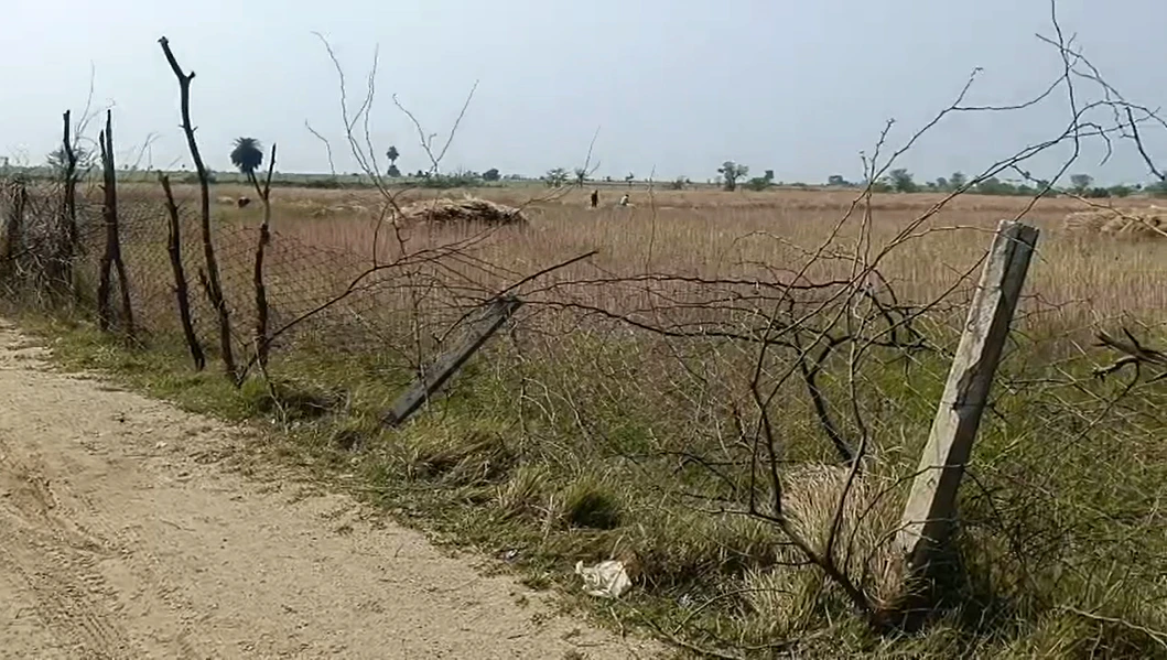 6F63+XG Tordi, Rajasthan, India