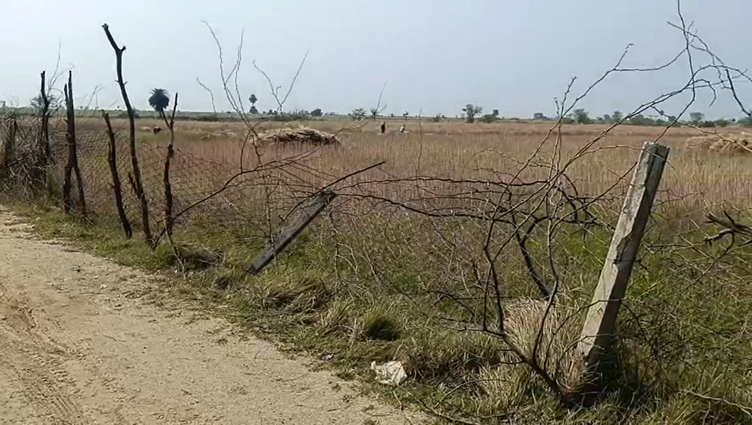 6F63+XG Tordi, Rajasthan, India