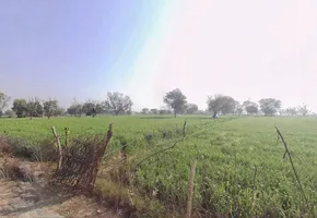 7Q45+498, Pinan, Rajasthan 301413, India preview 2