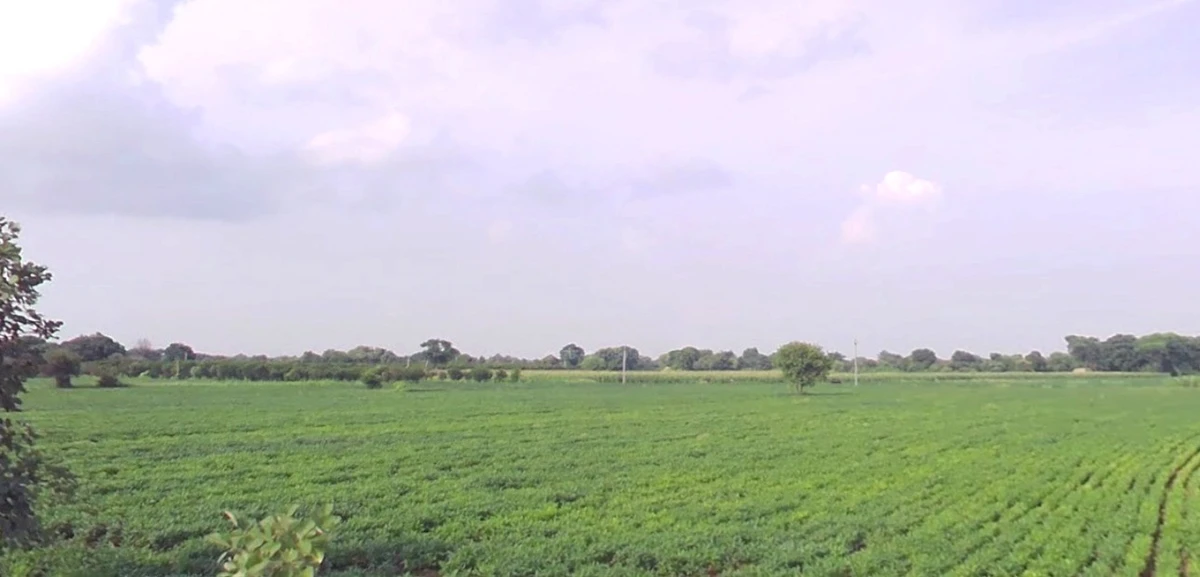 Barnagar, Madhya Pradesh 456771, India
