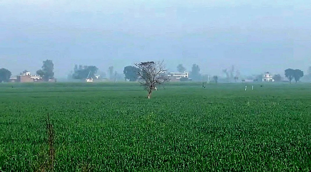 Dadri, Uttar Pradesh, India