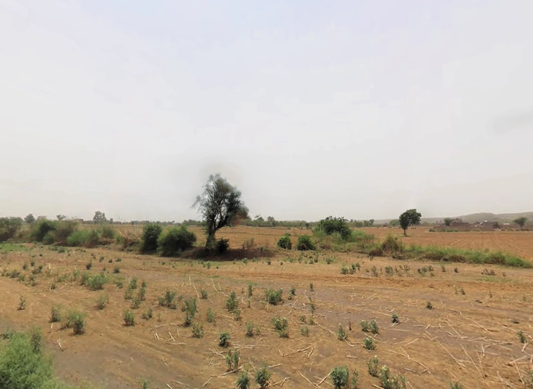 Raiseena, Haryana 122102, India