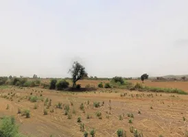 Raiseena, Haryana 122102, India preview 2