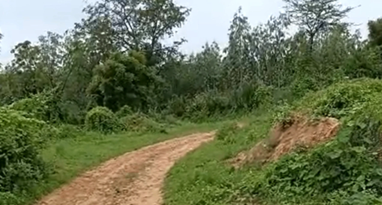 JJQX+35 Rangakui, Mahesana, Gujarat, India