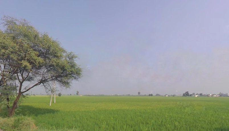 Babain, Haryana 136156, India