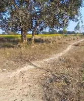 Sarojini Nagar, Lucknow, Uttar Pradesh, India preview 2