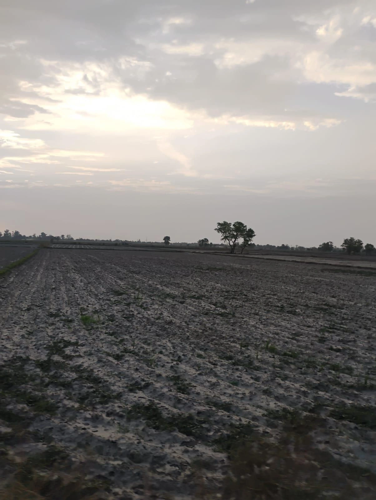 Bishambhara, Uttar Pradesh 281404, India preview 3