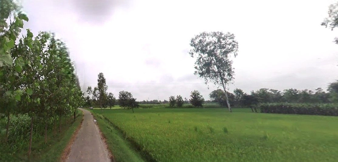 Jansath, Uttar Pradesh 251314, India