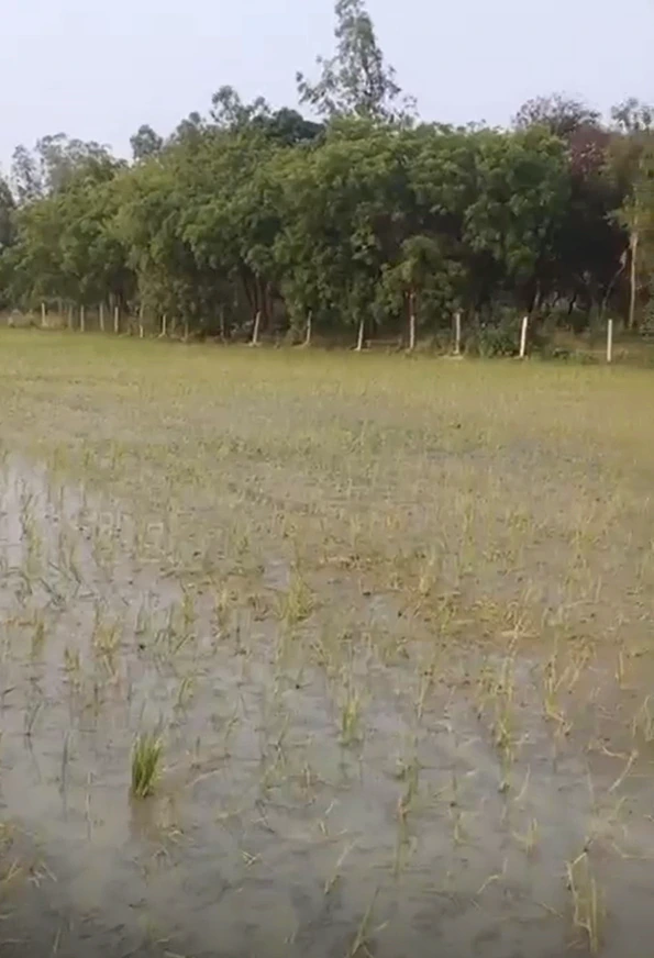 Bichhiya, Unnao, Uttar Pradesh, India