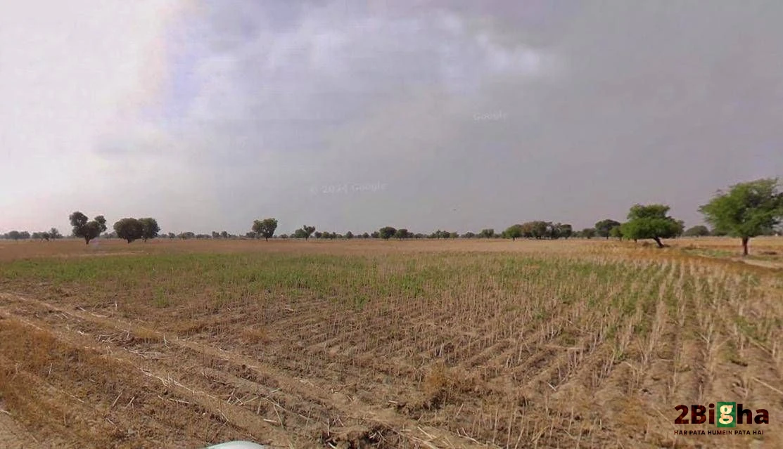 Chhatarpur, Madhya Pradesh 471001, India
