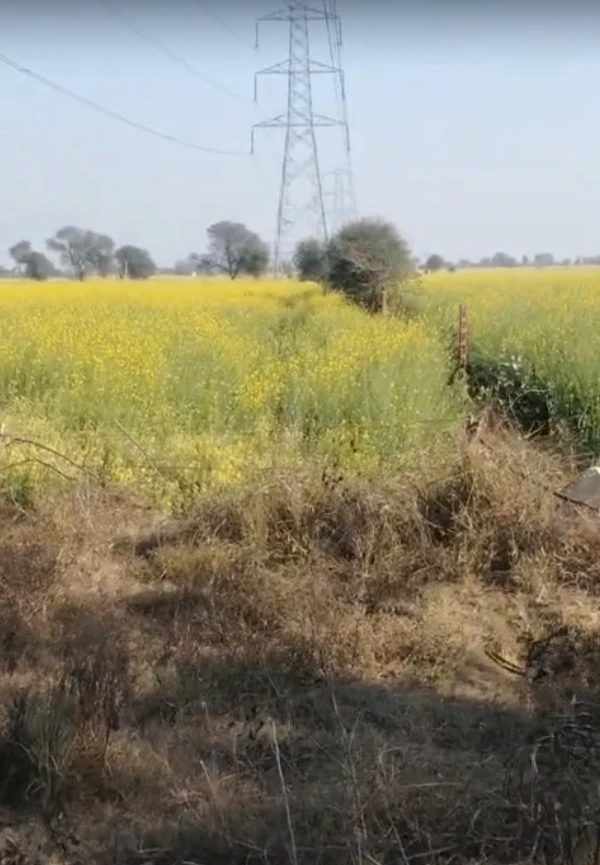 Bayana, Rajasthan 321401, India