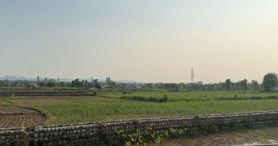 Thala, Madhya Pradesh 464770, India preview 3
