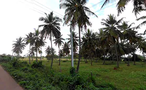 WPPQ+CX, Ballahalli, Karnataka 571109, India preview 5