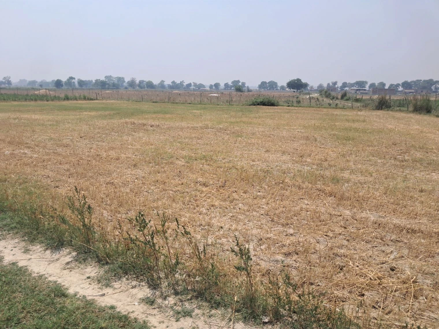 P68W+32 Samaha Kala, Uttar Pradesh, India