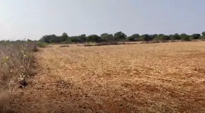 Kasaba Hobli, Byrashettihalli, Karnataka 562123, India preview 3