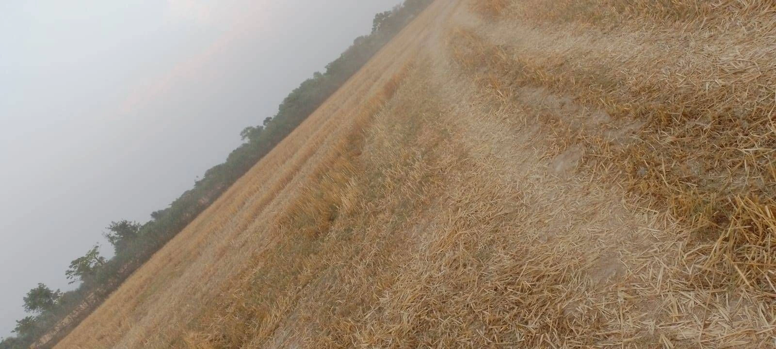 Pilkhani, Uttar Pradesh 247451, India