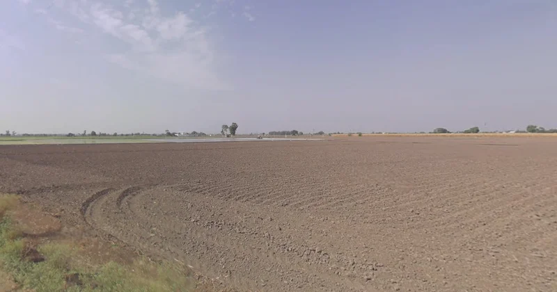 Adesar, Gujarat 370155, India preview 2