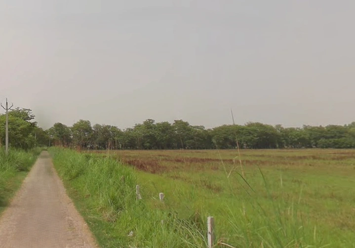 5285+345, Hastinapur, Uttar Pradesh 250404, India