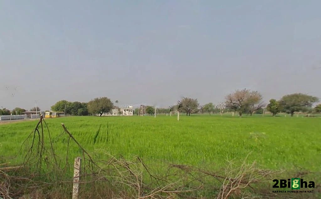 Bindayaka, Jaipur, Rajasthan 302041, India