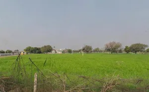 Bindayaka, Jaipur, Rajasthan 302041, India preview 3