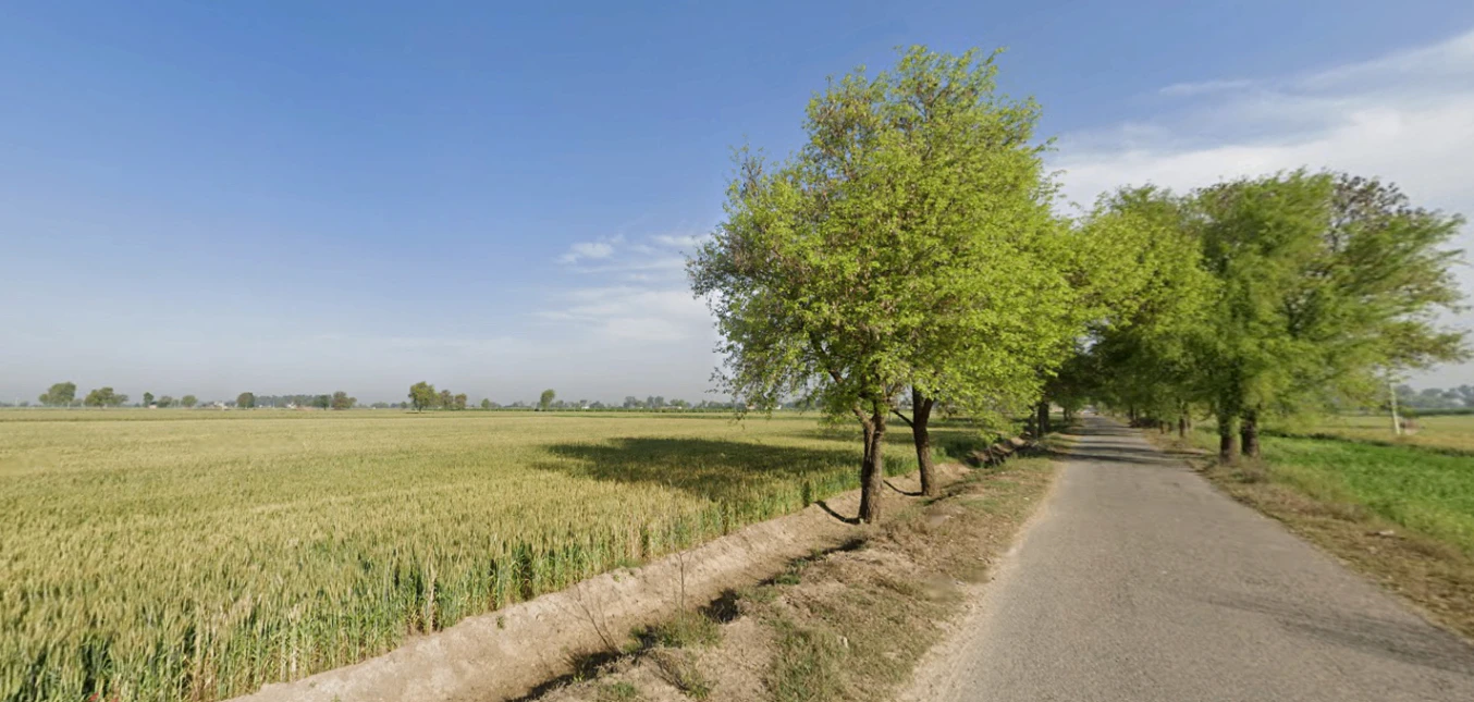 Shahpur, Haryana 132107, India