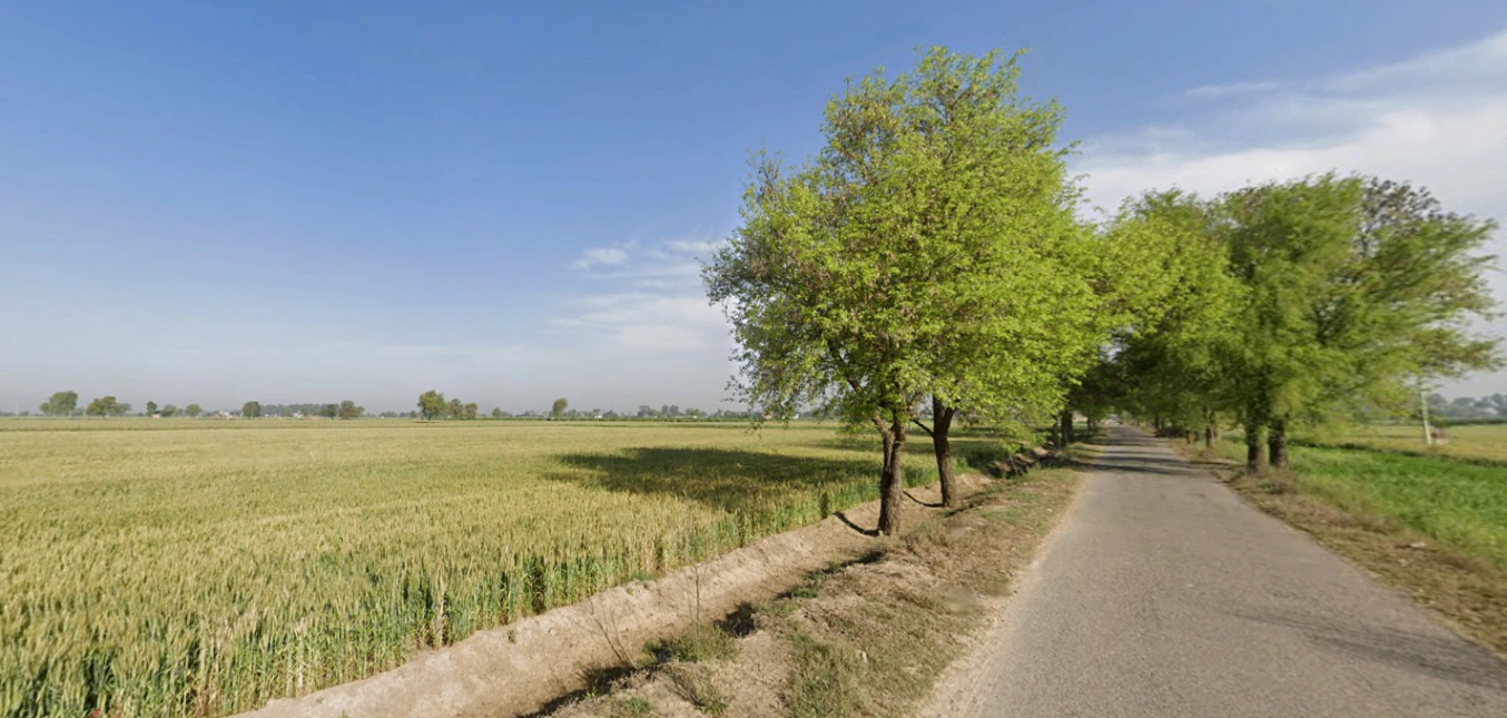 Shahpur, Haryana 132107, India