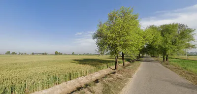 Shahpur, Haryana 132107, India preview 3