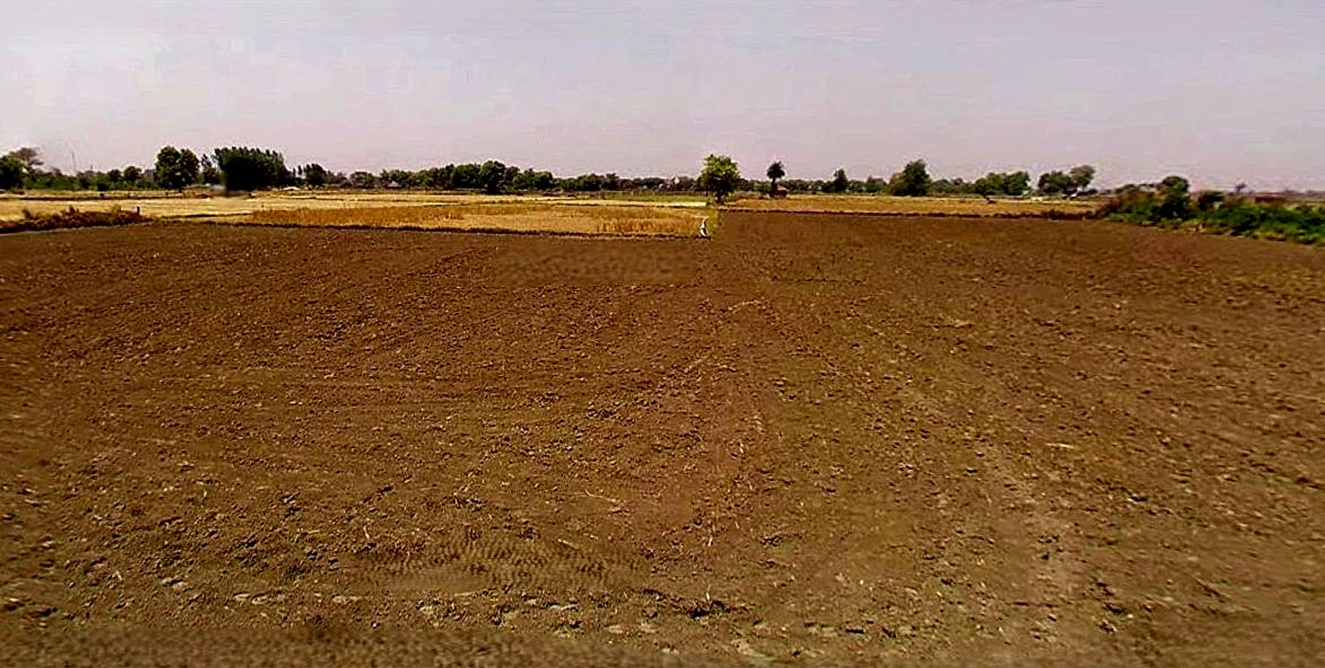 Dadri, Uttar Pradesh, India