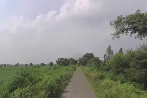 Pooth, Uttar Pradesh 245208, India preview 3