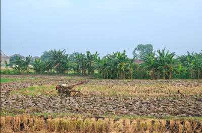 Thawari, Madhya Pradesh 470235, India preview 2