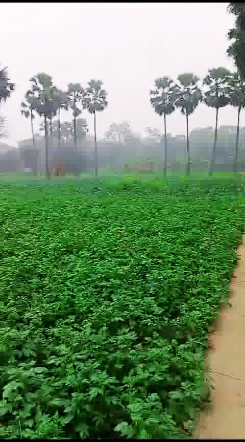 Bhathahi, Bihar, India